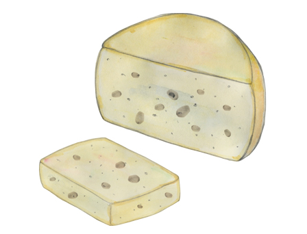 Kefalograviera P.D.O. Cheese illustration