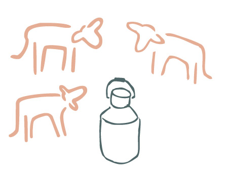 Cow’s Milk Cheese illustration