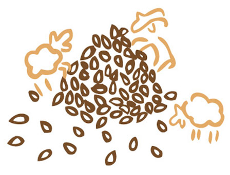 Sesame Feta Bites illustration