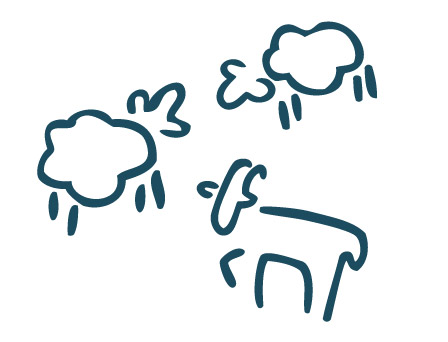 Sheep & Goat’s Milk Feta illustration