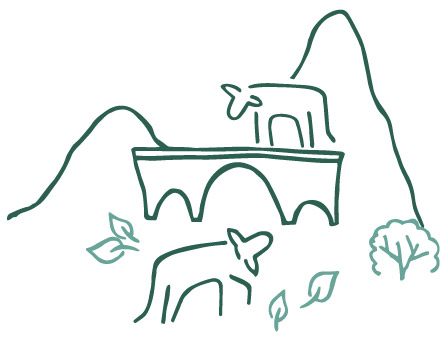 Cow’s Milk Graviera illustration