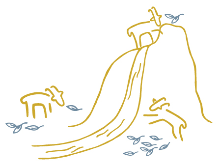Goat’s Milk Grevenon Cheese illustration