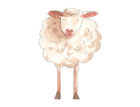 Sheep’s Milk Yogurt illustration
